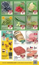 Billa leták týden 10 Strana 2