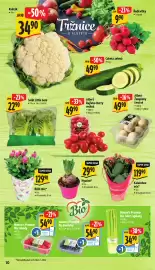 Albert leták | Supermarket Strana 16