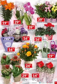 Twój Market gazetka tydzień 10 Strona 19