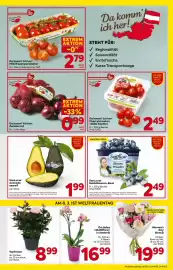 Billa Box Flugblatt woche 10 Seite 3