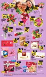 Albert leták týden 10 Strana 10