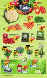 Albert leták týden 10 Strana 14