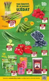 Billa leták týden 10 Strana 2