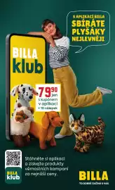Billa leták týden 10 Strana 31