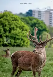 Rossmann Magazin Seite 16