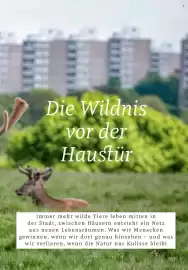 Rossmann Magazin Seite 17