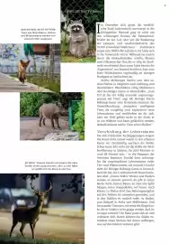 Rossmann Magazin Seite 18