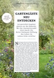 Rossmann Magazin Seite 86