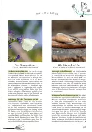 Rossmann Magazin Seite 87