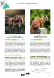 Rossmann Magazin Seite 89