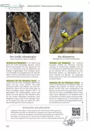 Rossmann Magazin Seite 90