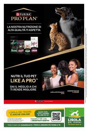 Volantino L´Isola dei Tesori Pagina 16