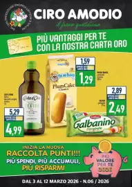 Volantino Ciro Amodio Pagina 1