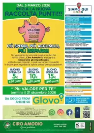 Volantino Ciro Amodio Pagina 12