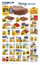 Food Lion weekly ad week 10 Page 1