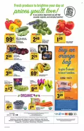 Food Lion weekly ad week 10 Page 2