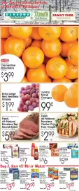 Family Fare weekly ad week 10 Page 1
