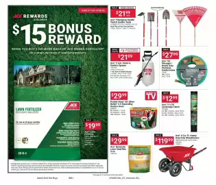 Ace Hardware flyer Page 2