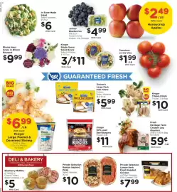 Dillons weekly ad week 10 Page 9