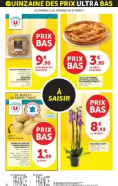 Catalogue Bi1 page 24