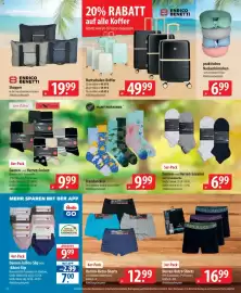 Famila Nord Ost Prospekt woche 11 Seite 51