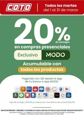 Catálogo Coto (válido hasta 31-03)