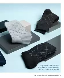 Catálogo Cristian Lay Página 11