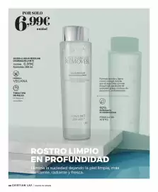 Catálogo Cristian Lay Página 80