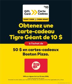 Giant Tiger flyer week 10 Page 14