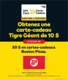 Giant Tiger flyer week 10 Page 14