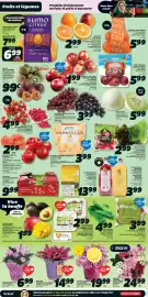 IGA flyer week 10 Page 3