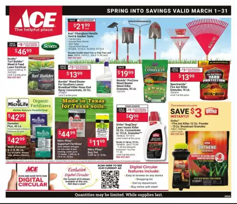 Ace Hardware flyer (valid until 31-03)