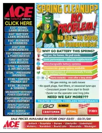 Ace Hardware flyer Page 1