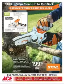 Ace Hardware flyer Page 10