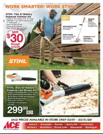 Ace Hardware flyer Page 11