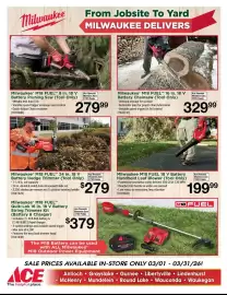 Ace Hardware flyer Page 12