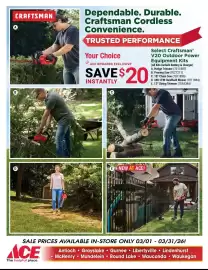 Ace Hardware flyer Page 13