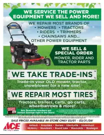 Ace Hardware flyer Page 15