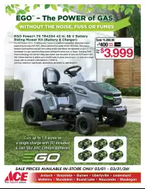 Ace Hardware flyer Page 2