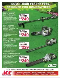 Ace Hardware flyer Page 5
