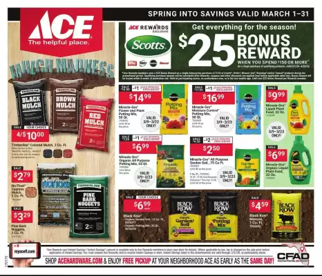 Ace Hardware flyer (valid until 31-03)