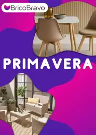 Volantino Brico Bravo Pagina 1