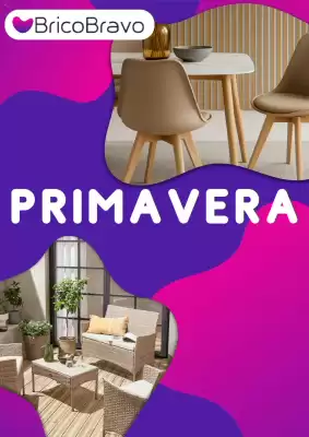 Volantino Brico Bravo (valido fino al 3-04)