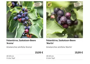 Starkl Flugblatt Seite 1