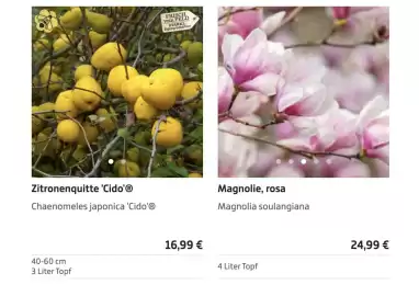 Starkl Flugblatt Seite 2