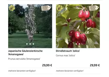 Starkl Flugblatt Seite 3