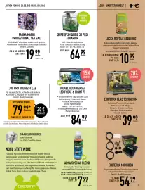 MegaZoo Flugblatt woche 9 Seite 15