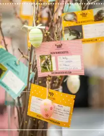 MegaZoo Flugblatt woche 9 Seite 17