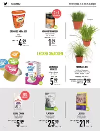 MegaZoo Flugblatt woche 9 Seite 2