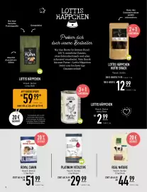 MegaZoo Flugblatt woche 9 Seite 8